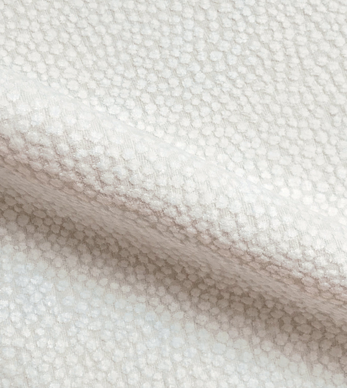 Tennyson Ivory