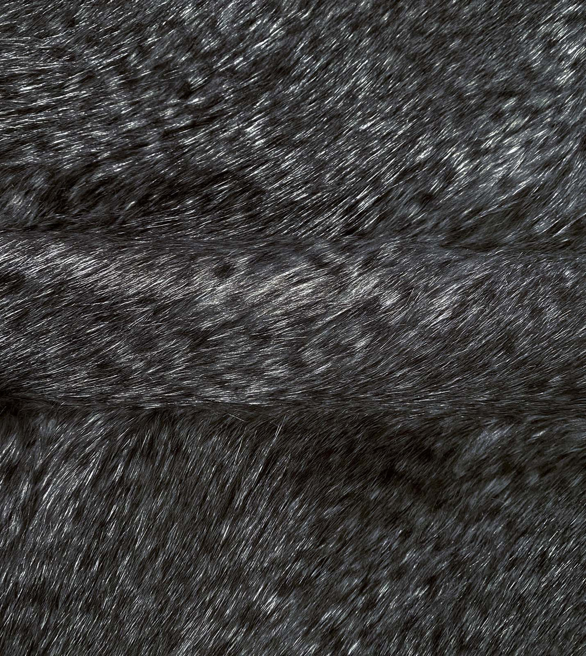 Balbo Charcoal