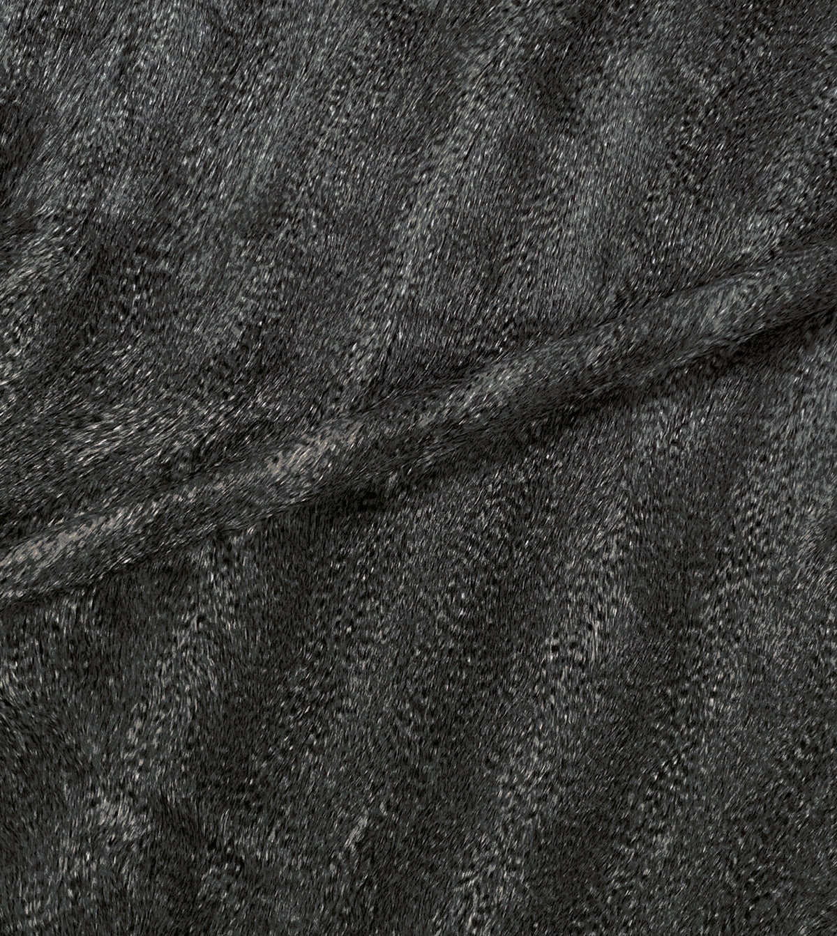 Balbo Charcoal