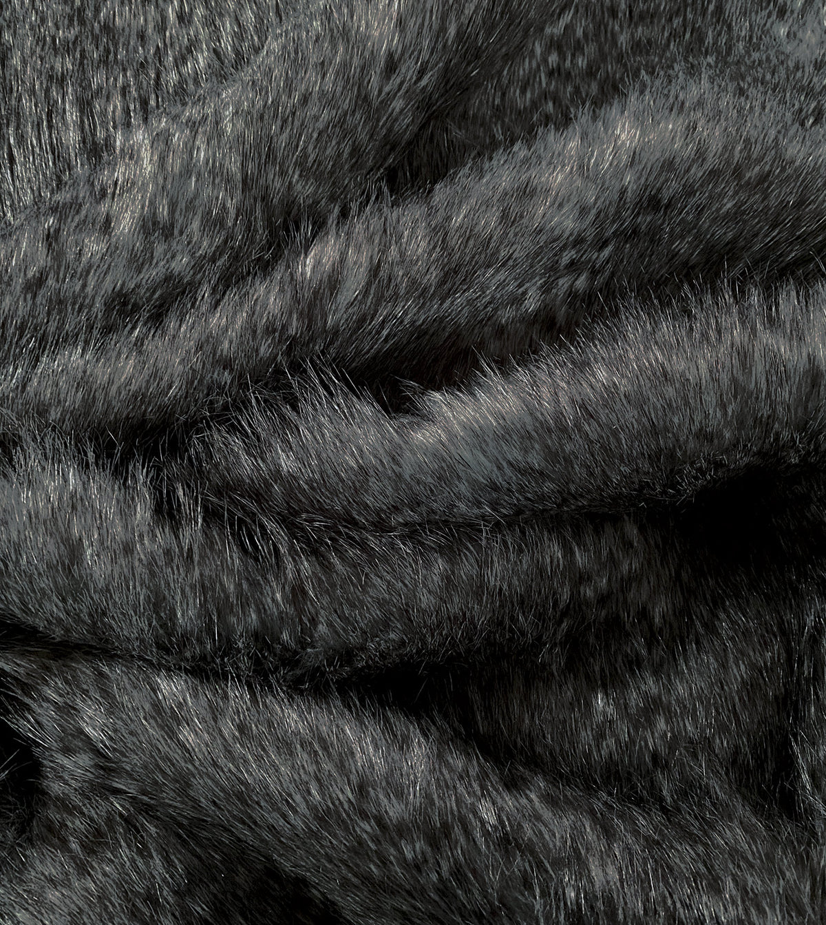 Balbo Charcoal