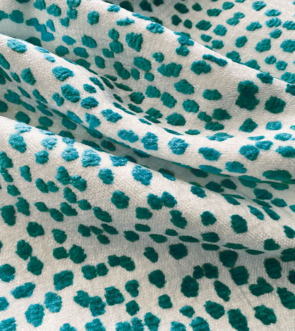 Tapir Teal