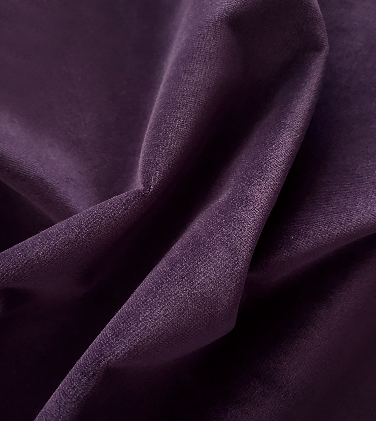 Uma Purple