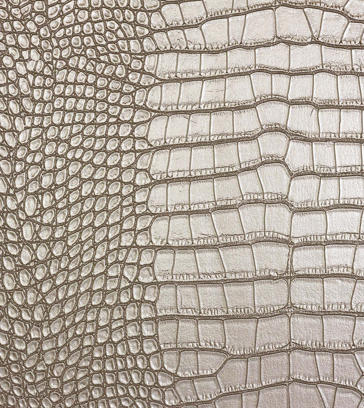 Tegu Gold