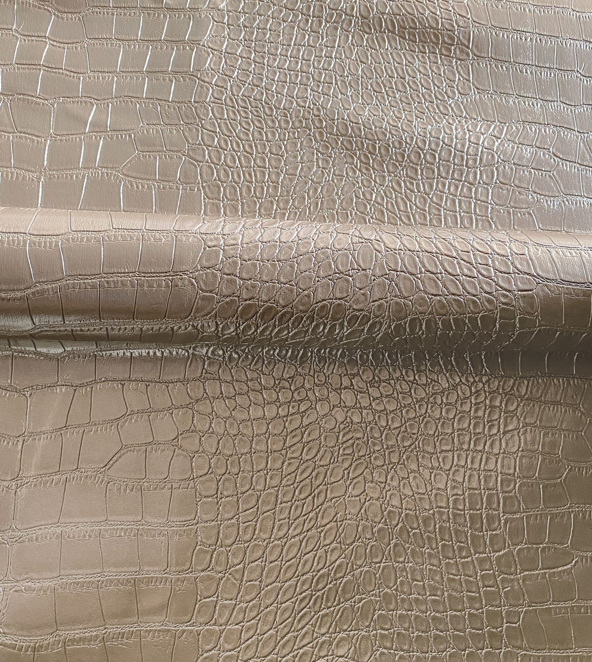 Tegu Gold