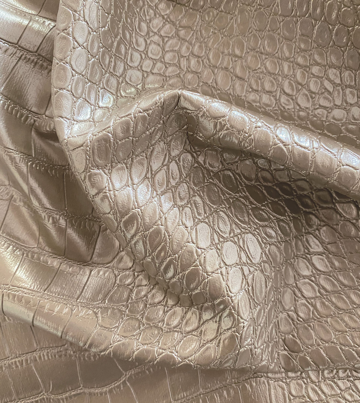 Tegu Gold