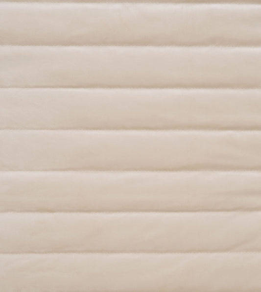 Piet Ivory RR