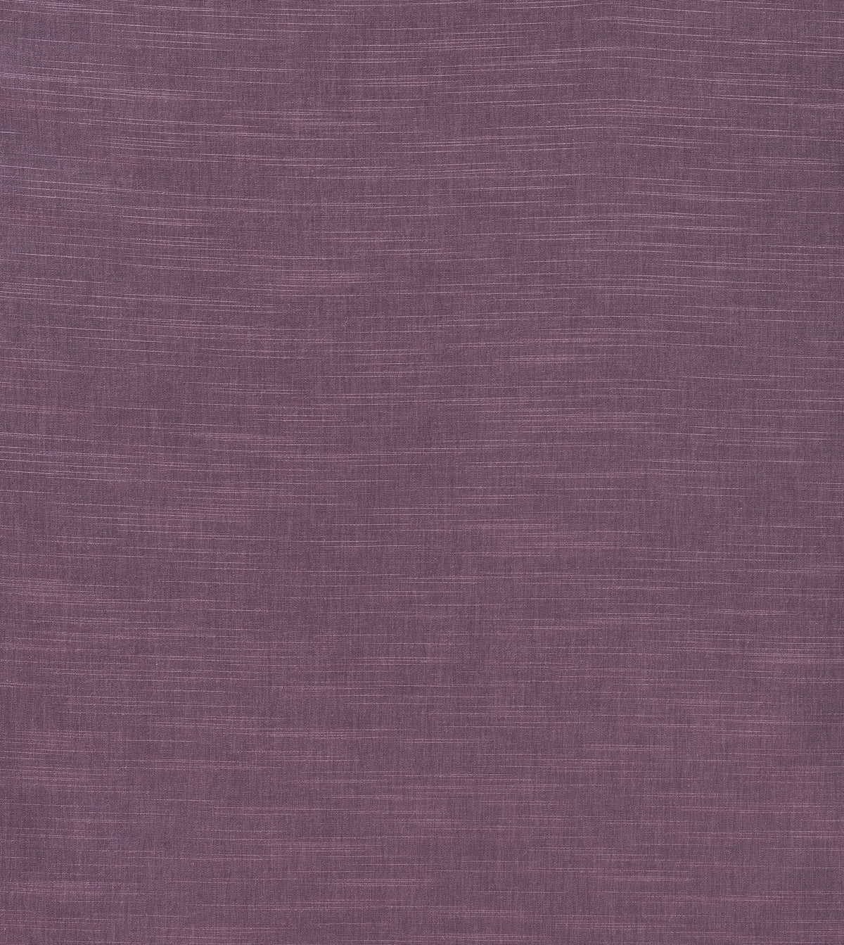 Neyda Plum