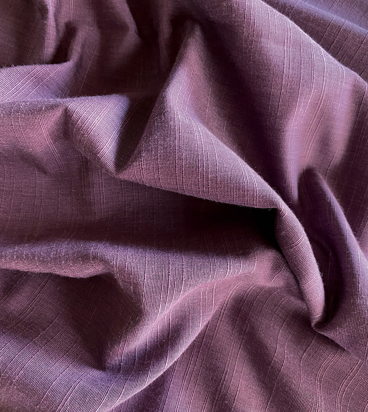 Neyda Plum