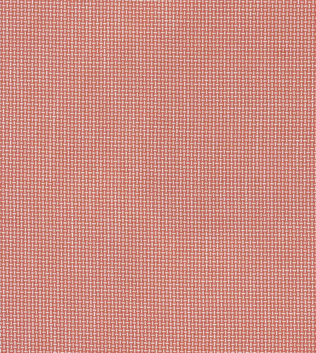 Bula Guava