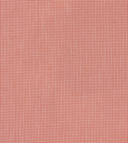 Bula Guava