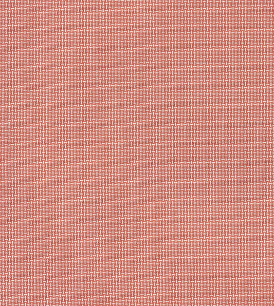Bula Guava