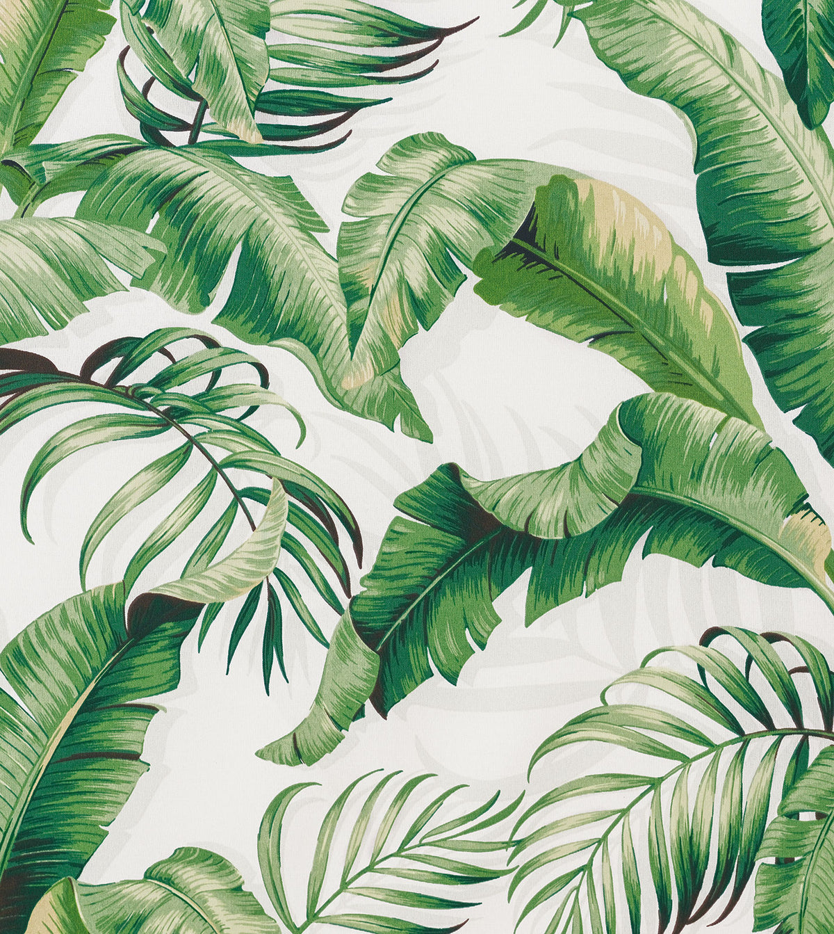 Abaca Cloud