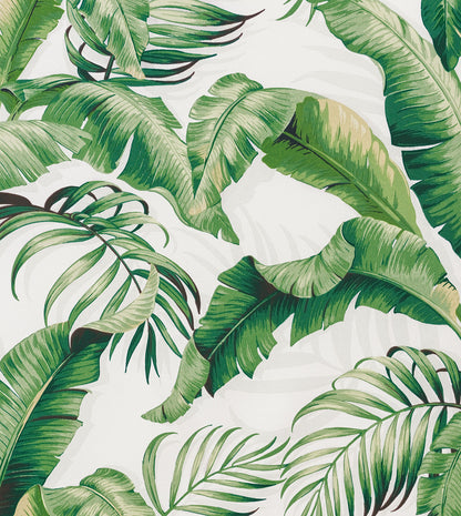 Abaca Cloud
