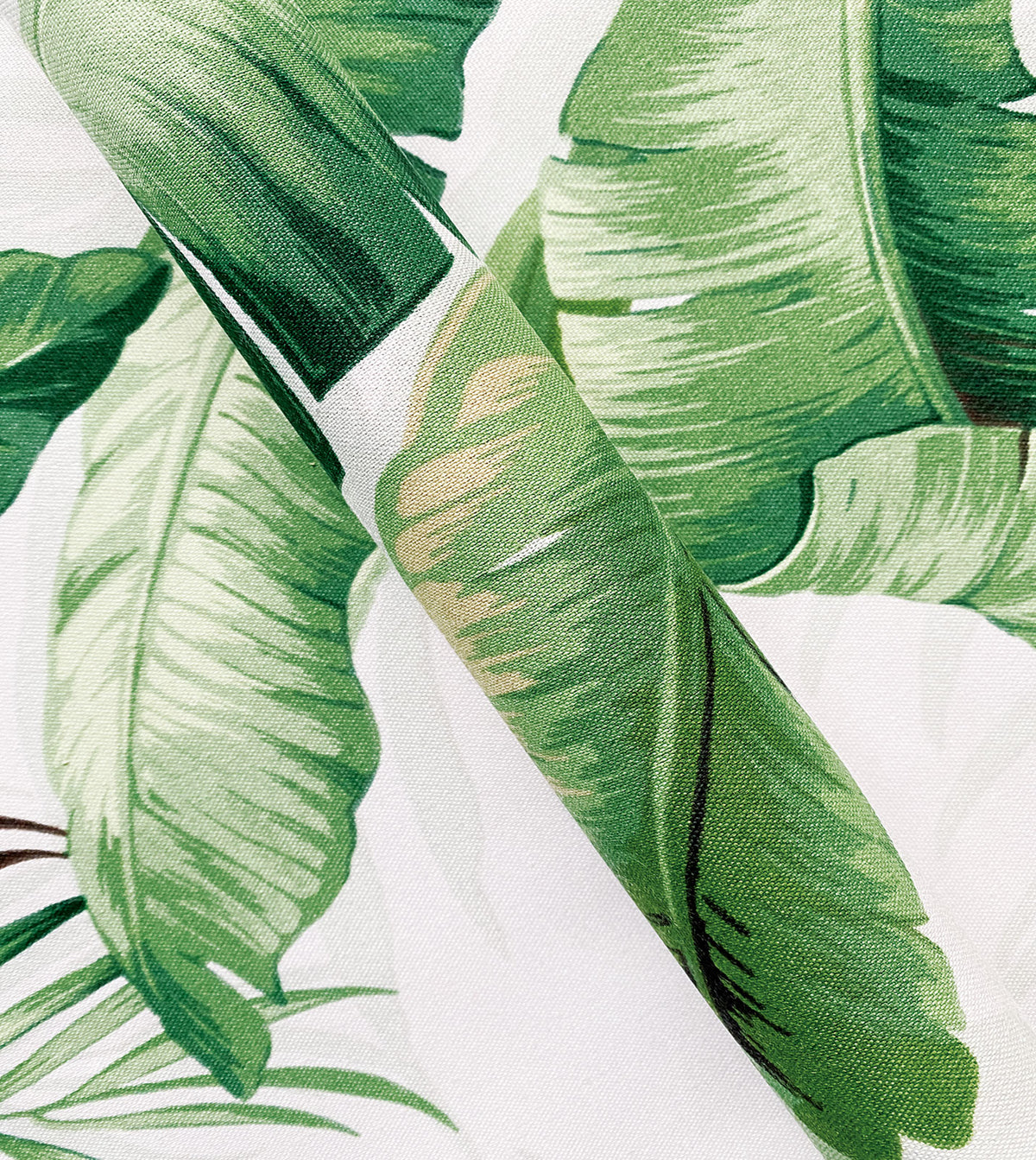 Abaca Cloud