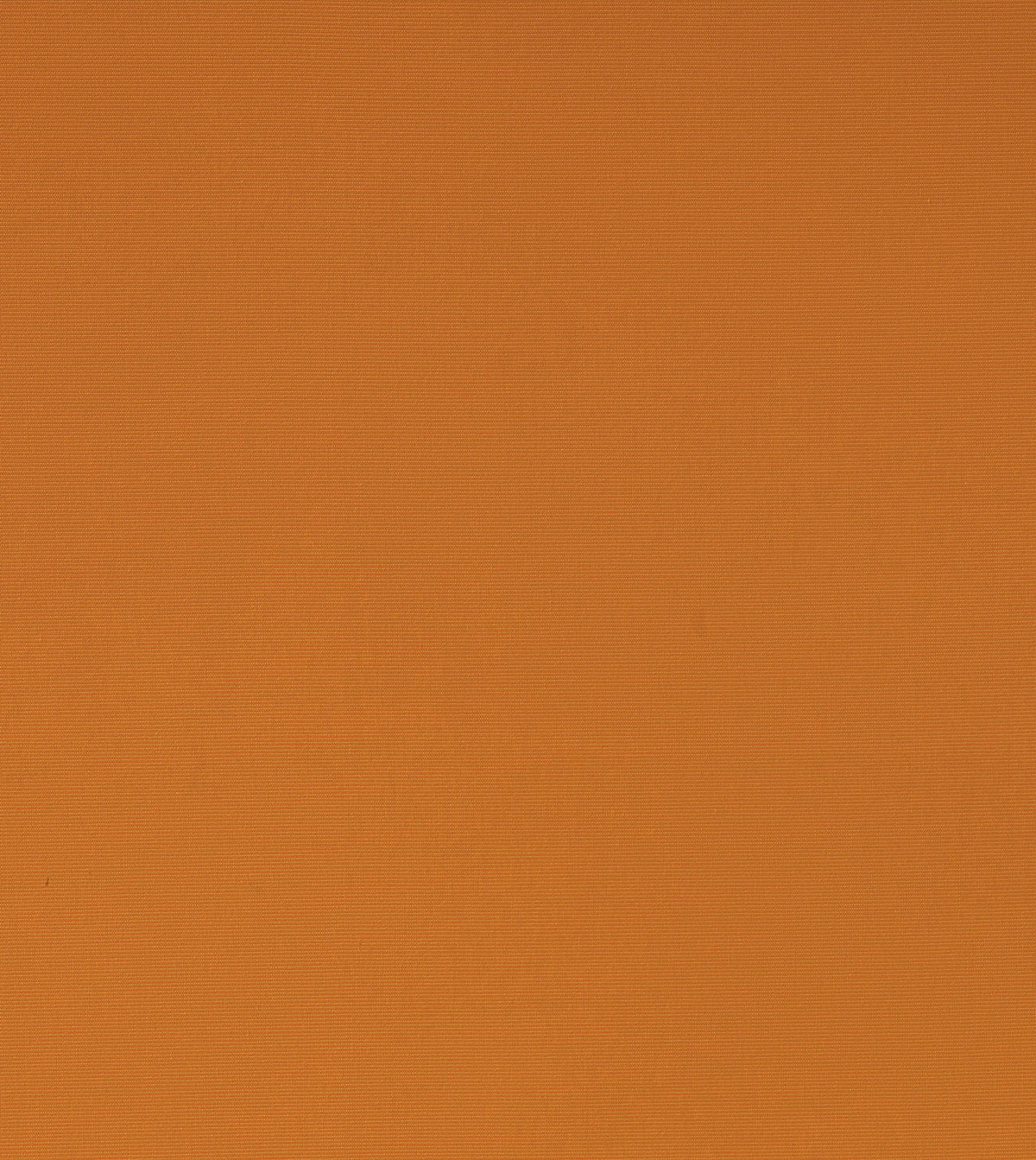 Tarheel Orange