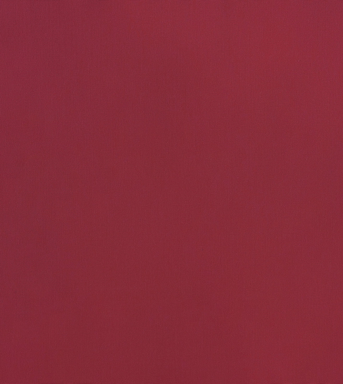 Sail Fuchsia