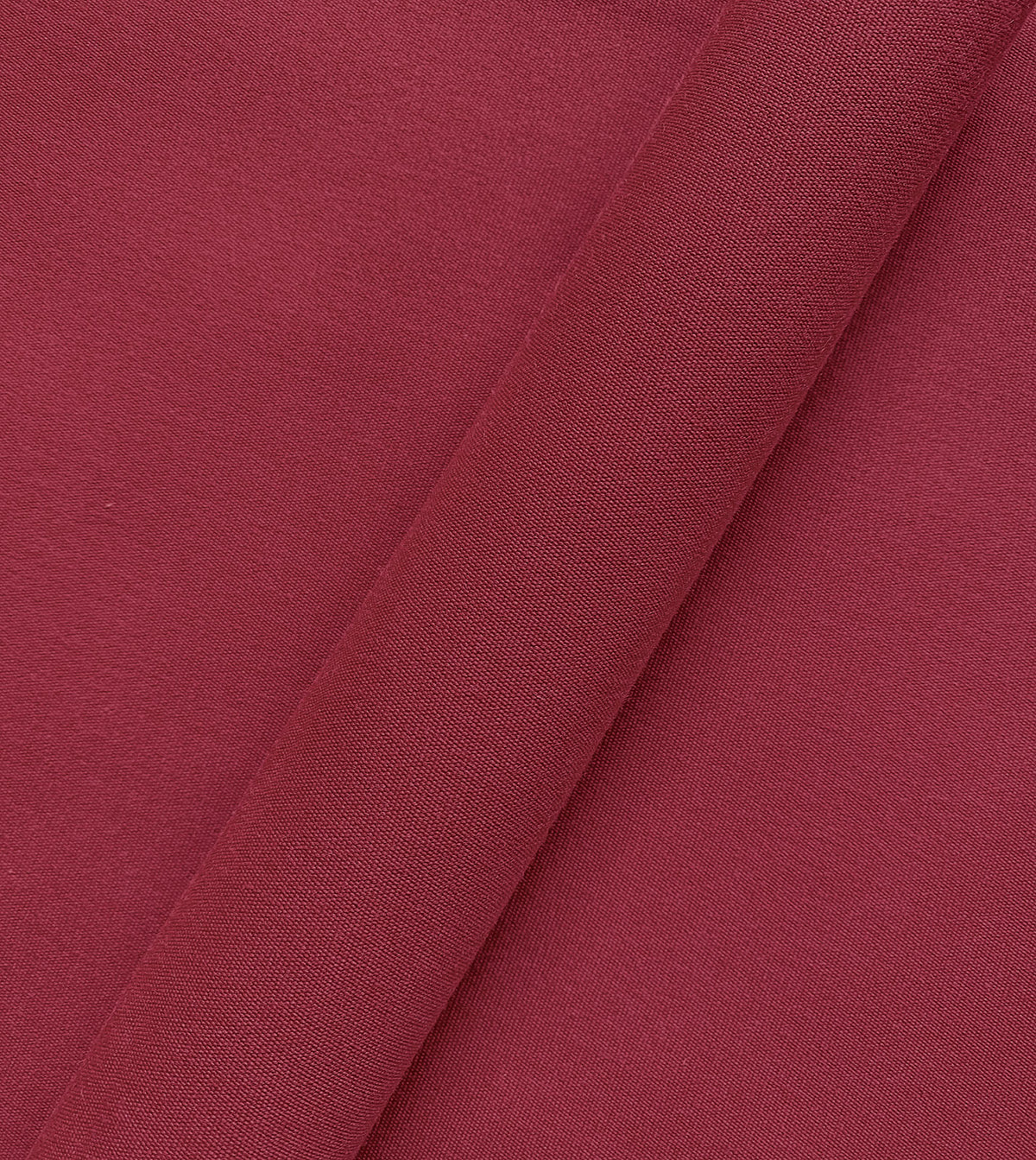 Sail Fuchsia