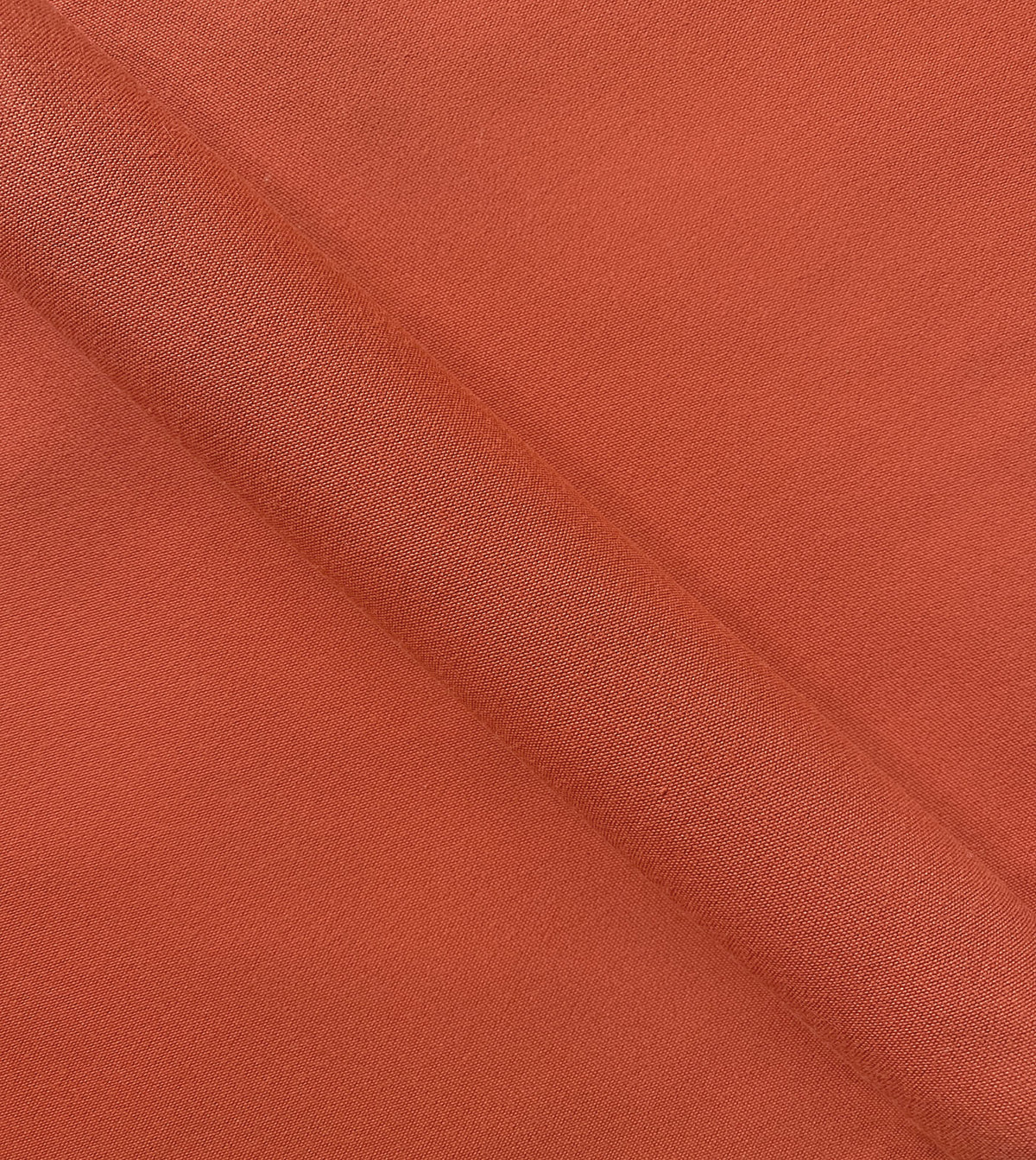 Sail Melon
