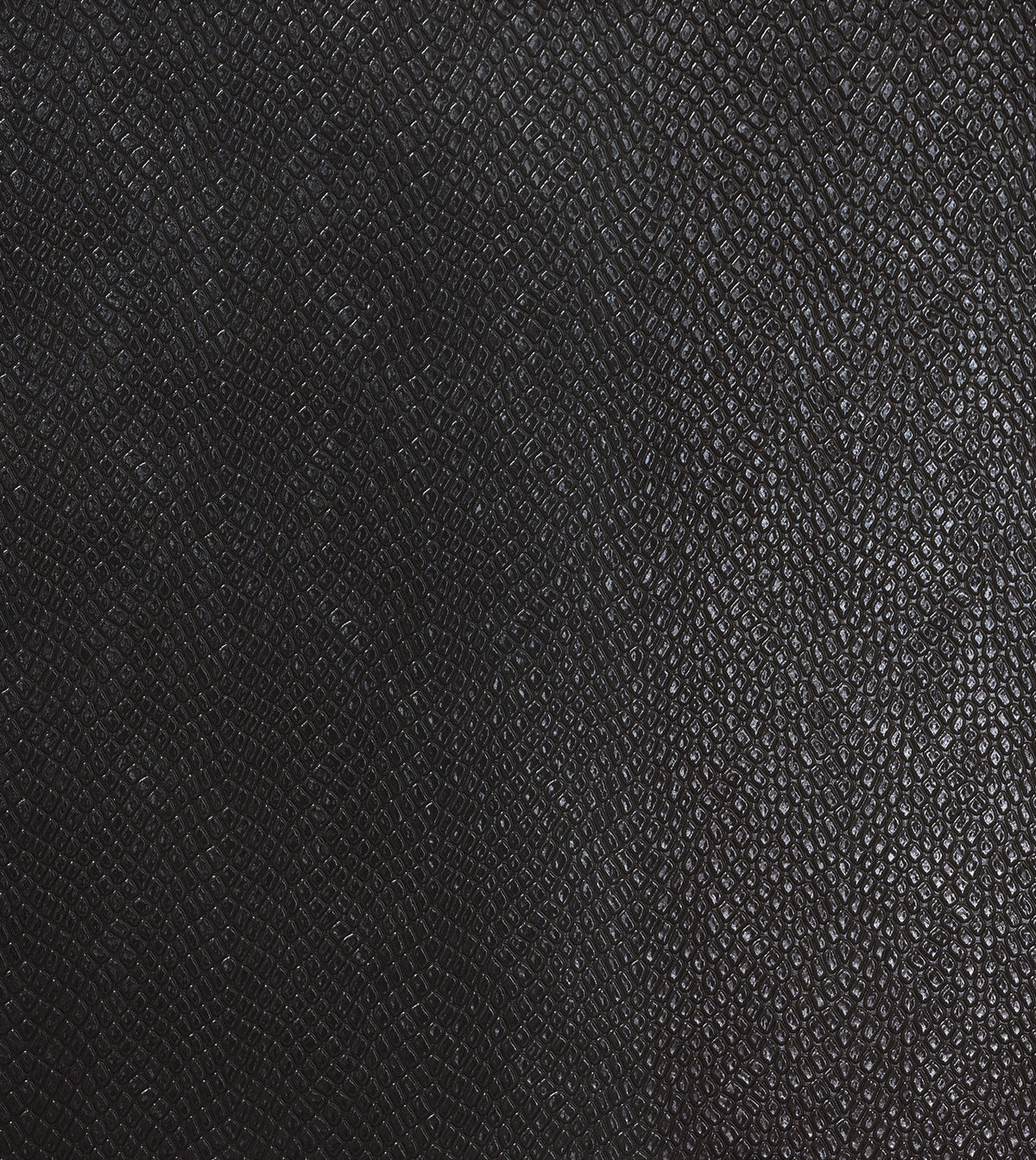 JANUS ONYX