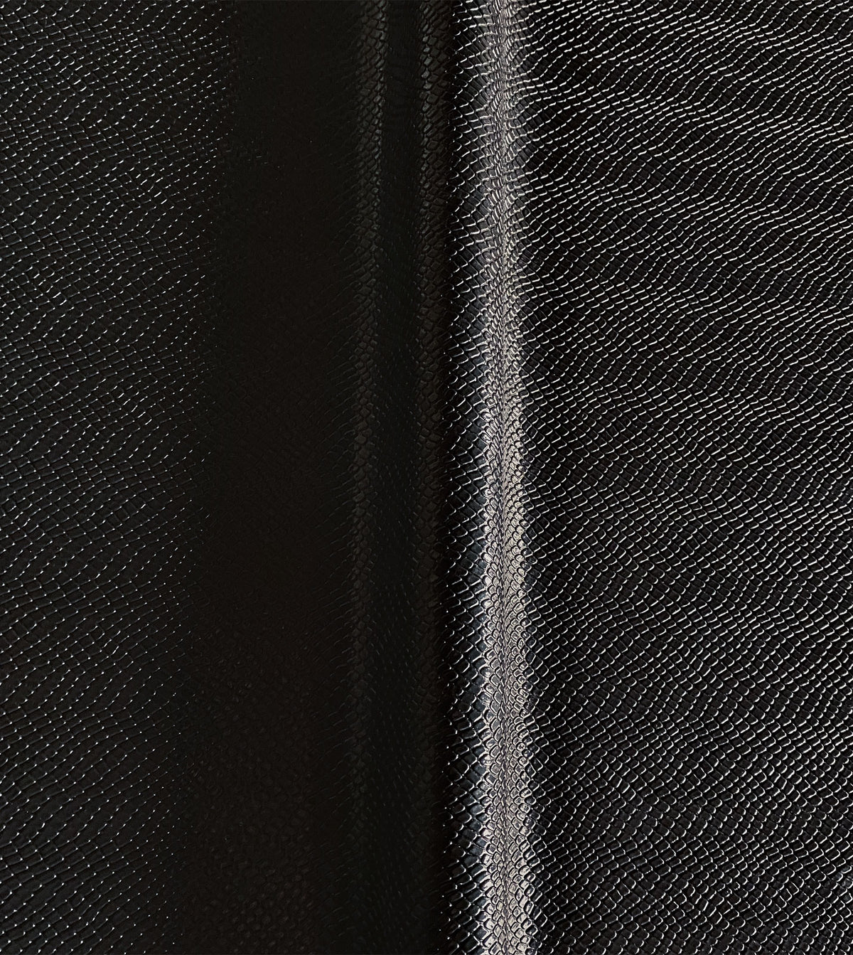 JANUS ONYX