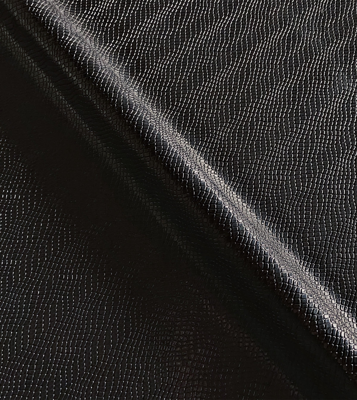 JANUS ONYX
