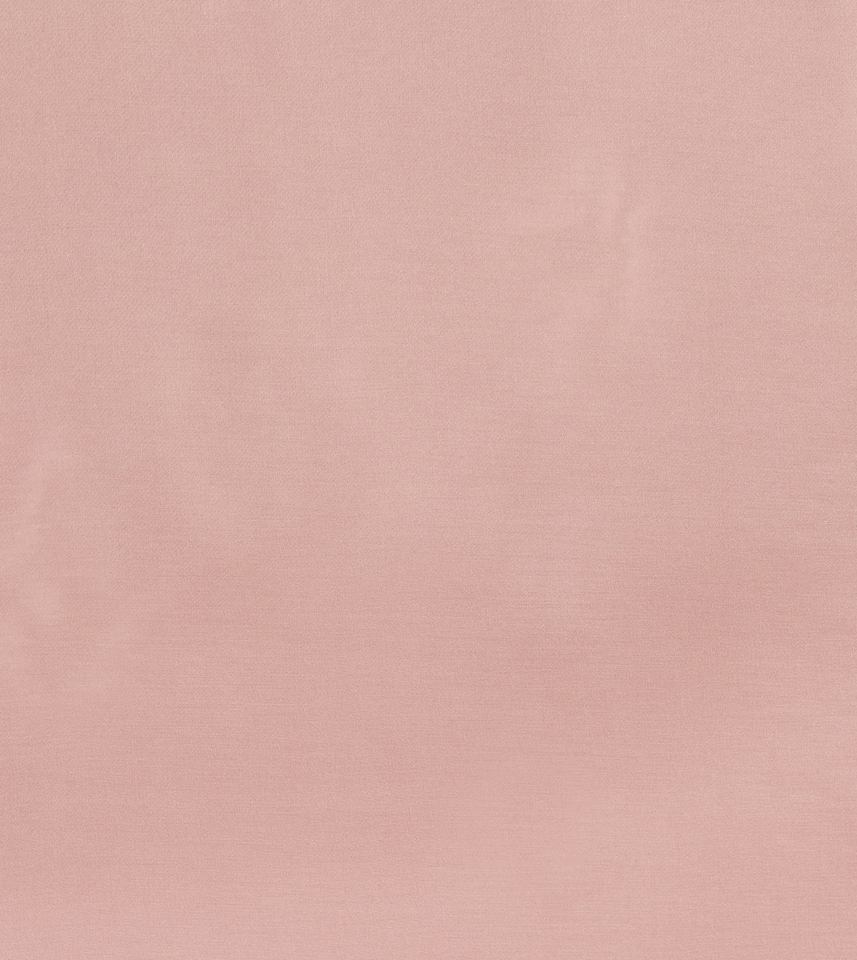 Vermouth Rose