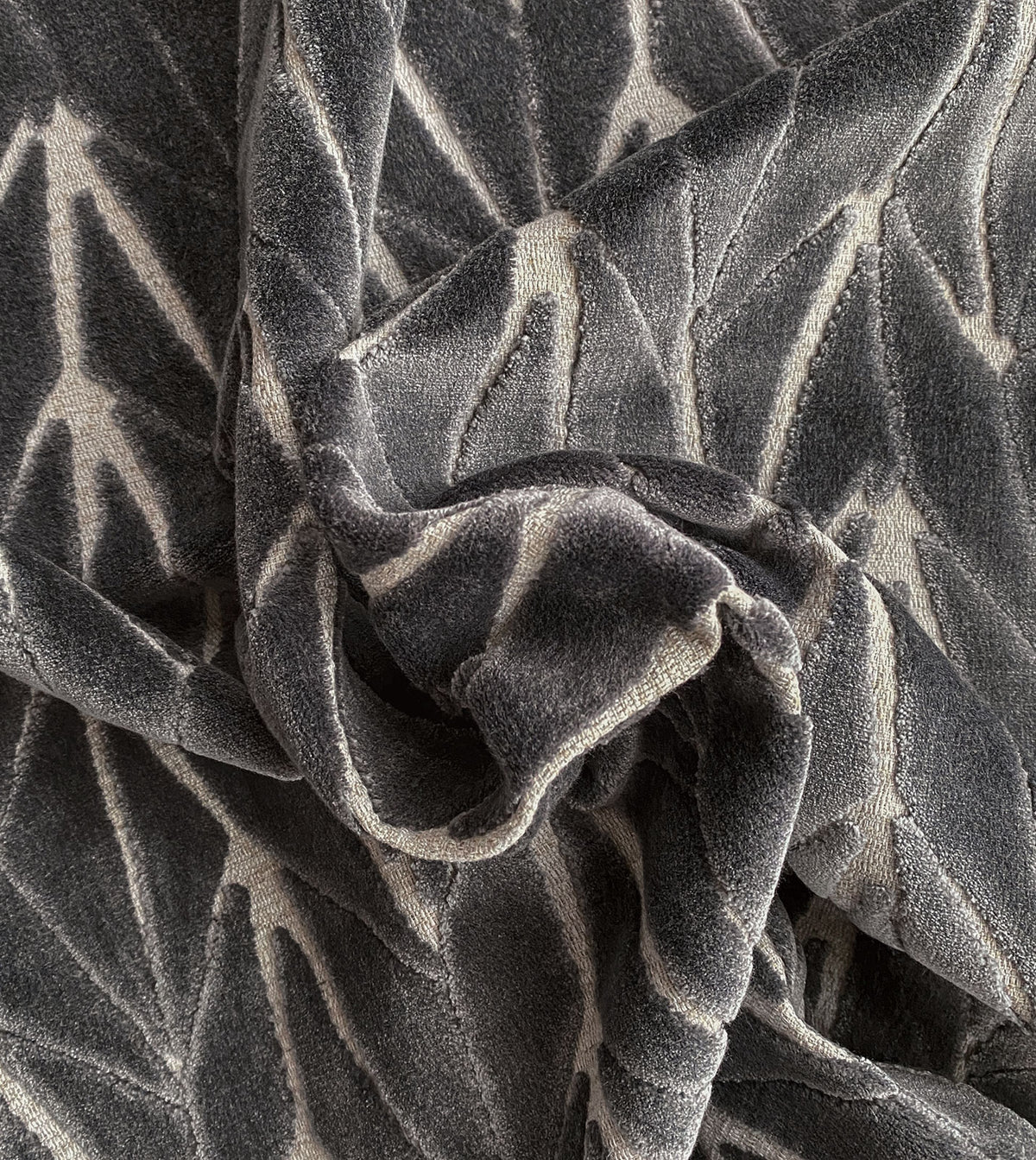 PHASE GRAY