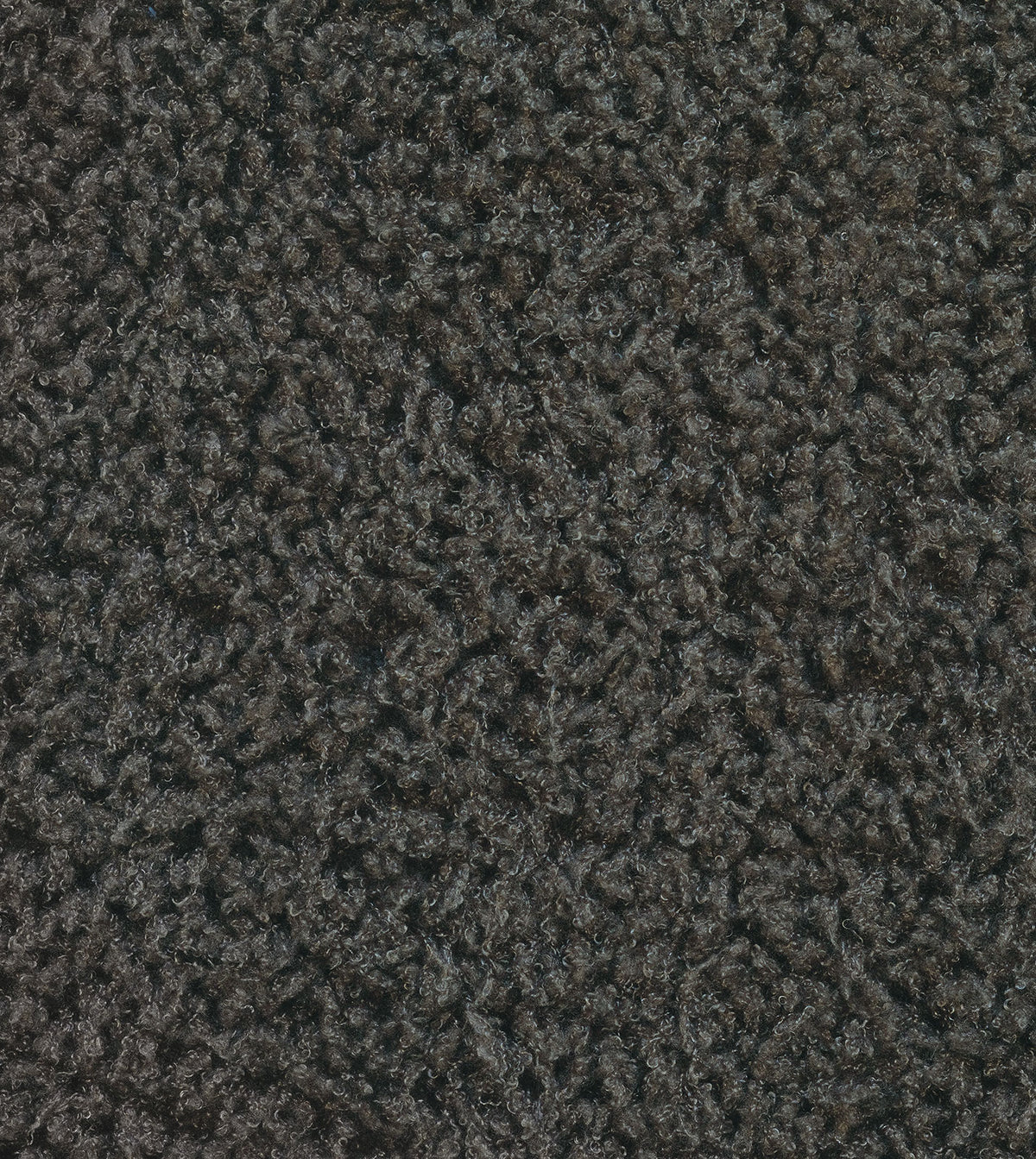 MOSBY CHARCOAL
