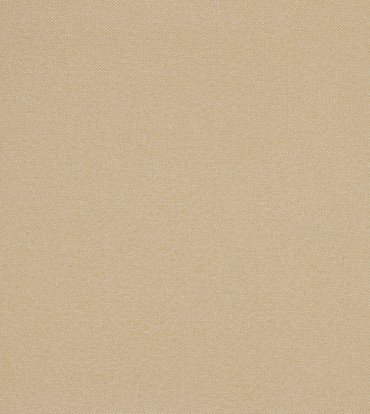 MODESTA WHEAT