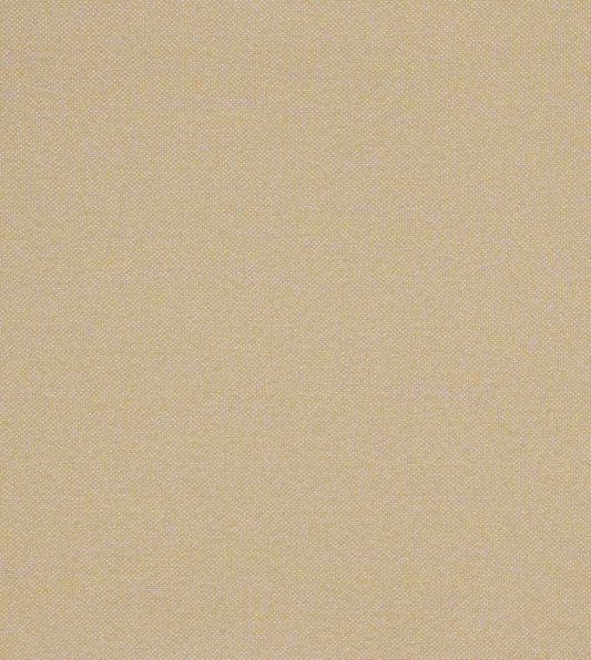 MODESTA WHEAT