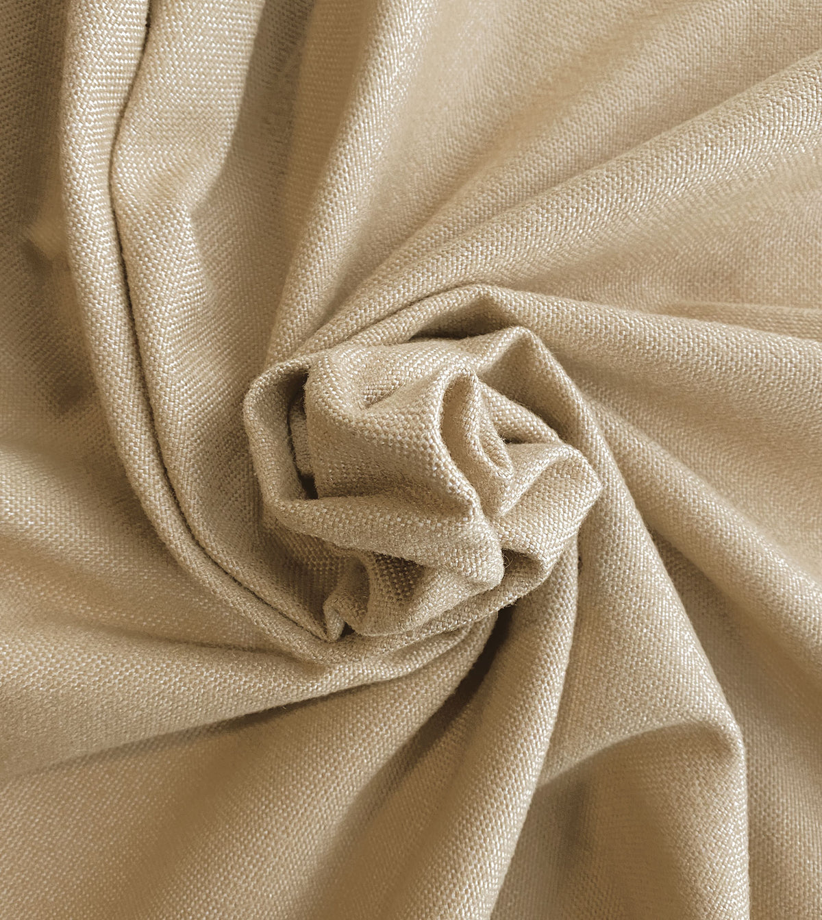 MODESTA WHEAT