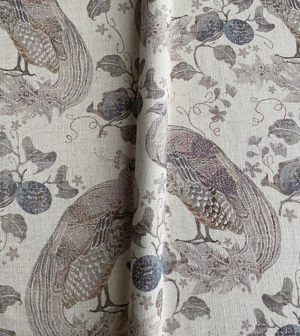 Belvedere Umber