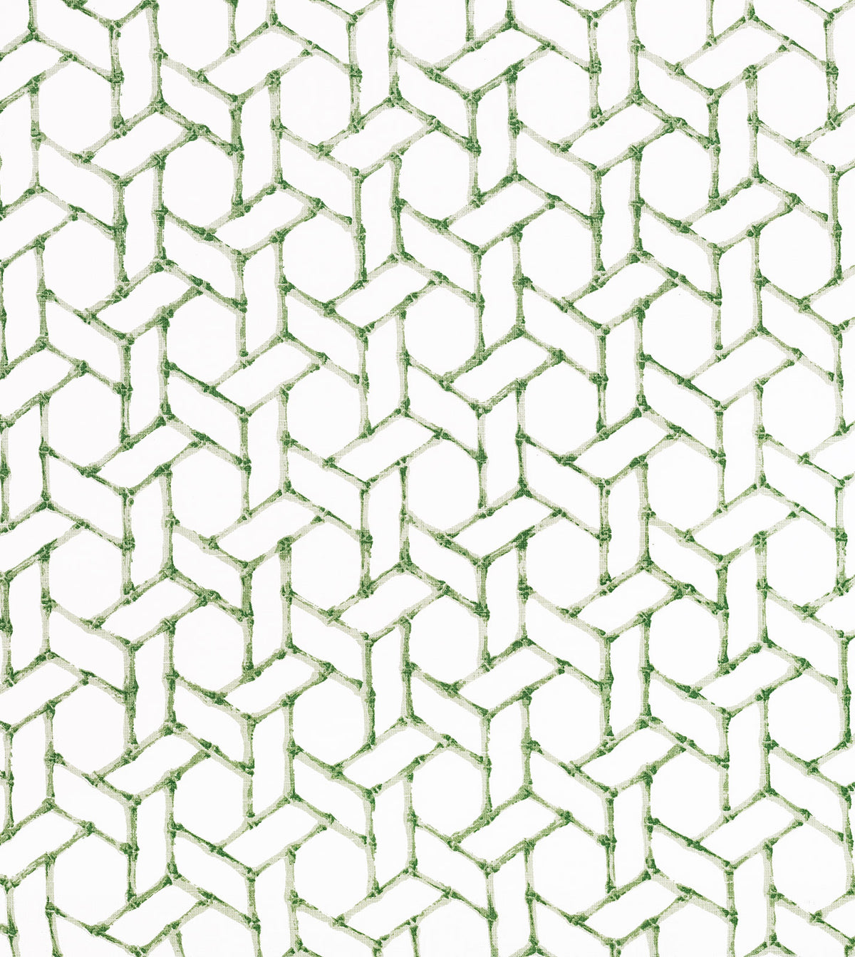 CALATRAVA THYME