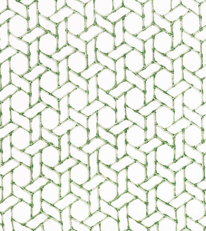 CALATRAVA THYME
