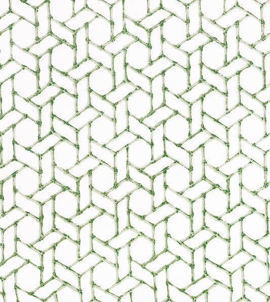 CALATRAVA THYME