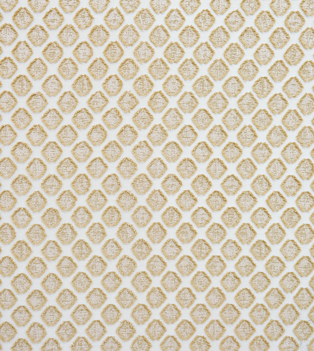 TERRANOVA GOLD