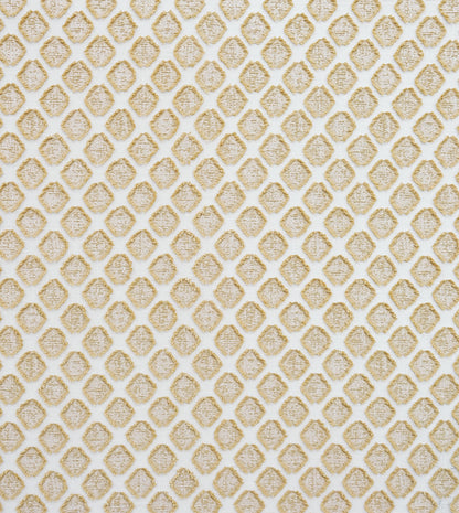 TERRANOVA GOLD