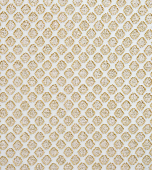 TERRANOVA GOLD