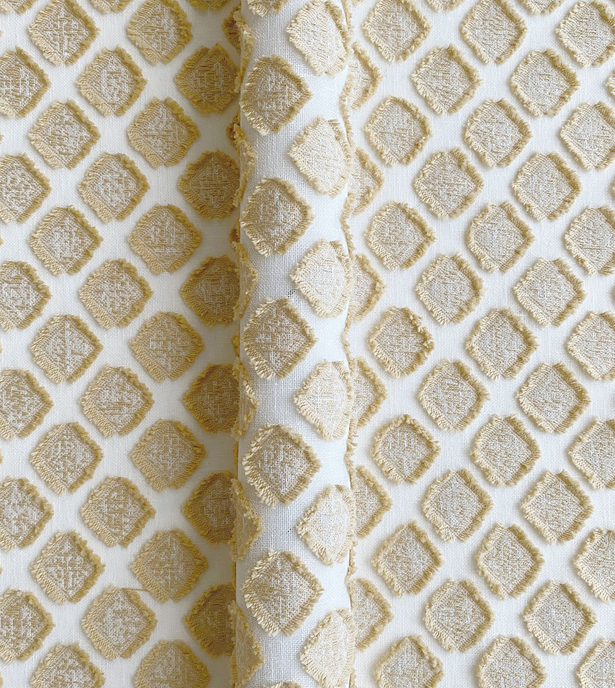 TERRANOVA GOLD