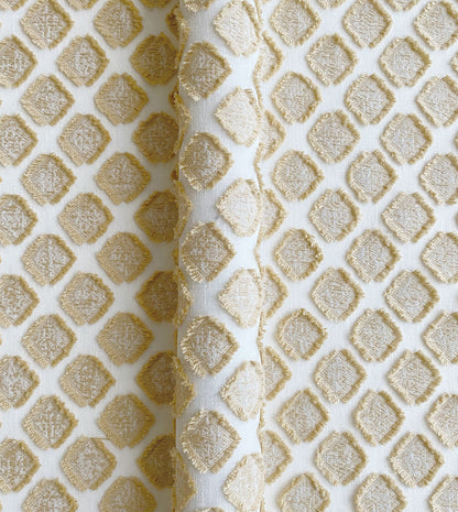 TERRANOVA GOLD