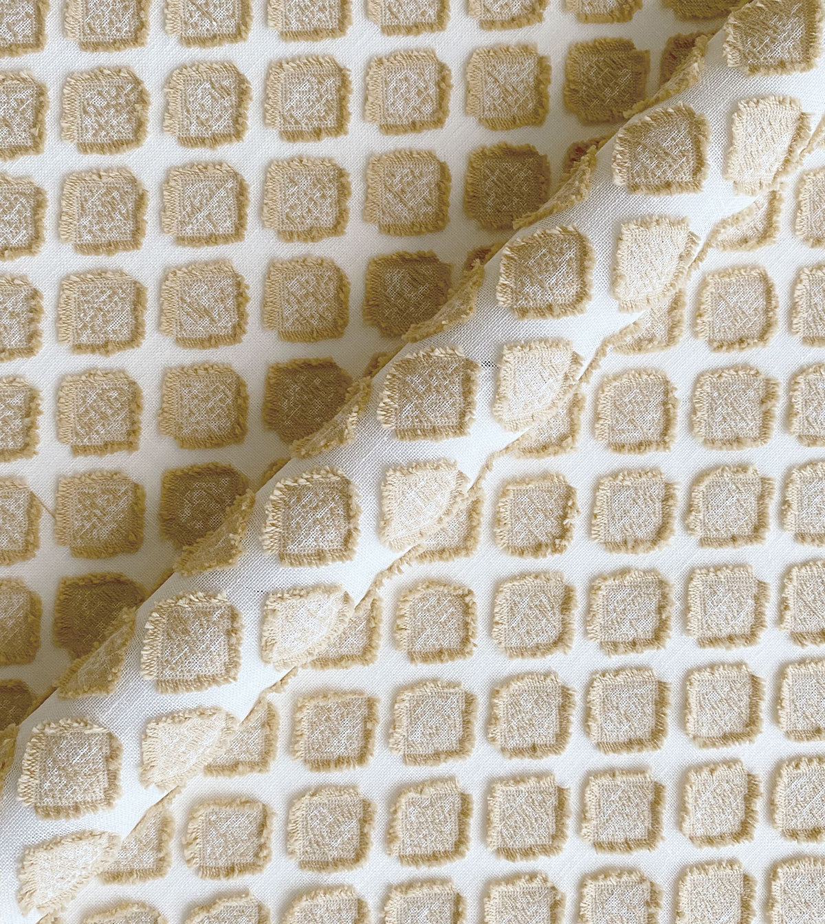 TERRANOVA GOLD