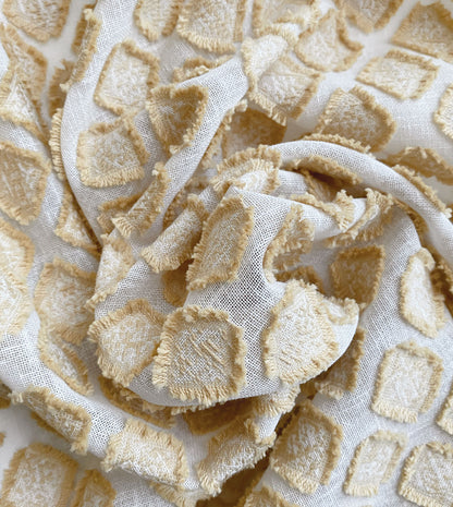 TERRANOVA GOLD