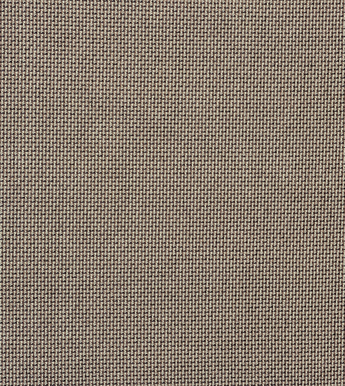 DOM TAUPE