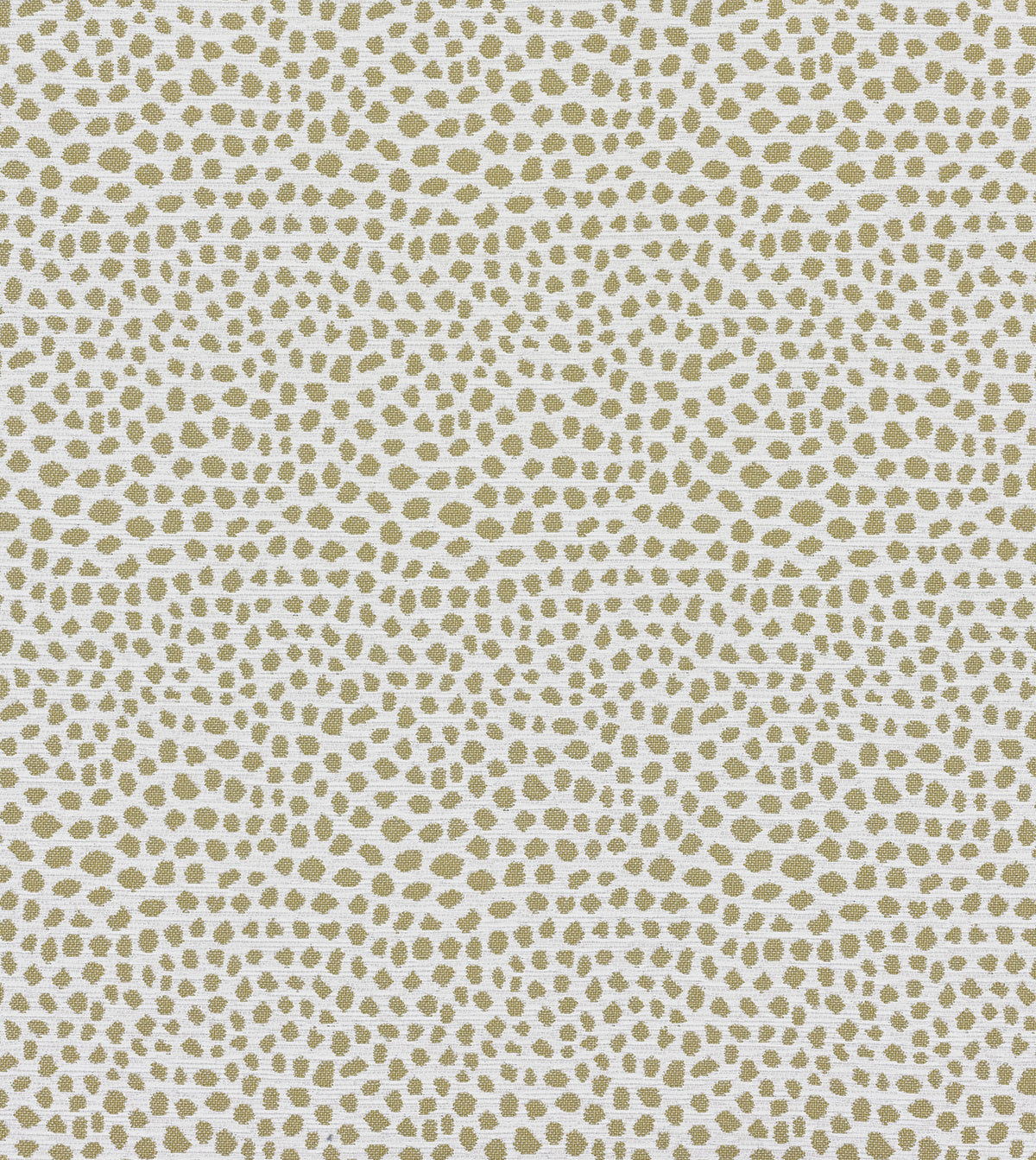 FIBI GOLDENROD