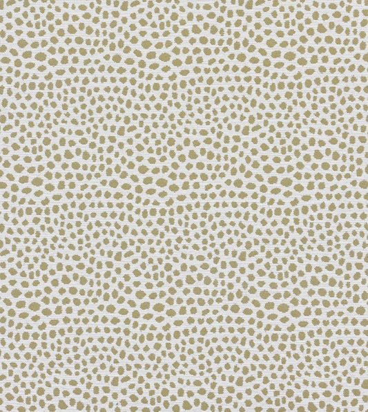 FIBI GOLDENROD
