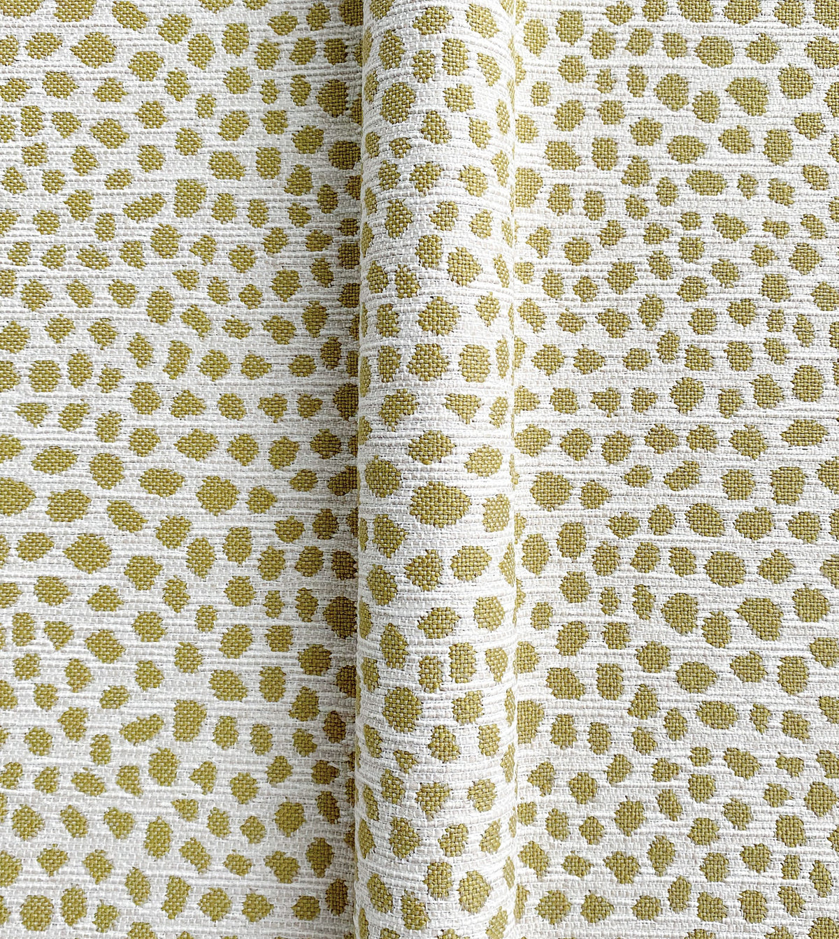 FIBI GOLDENROD