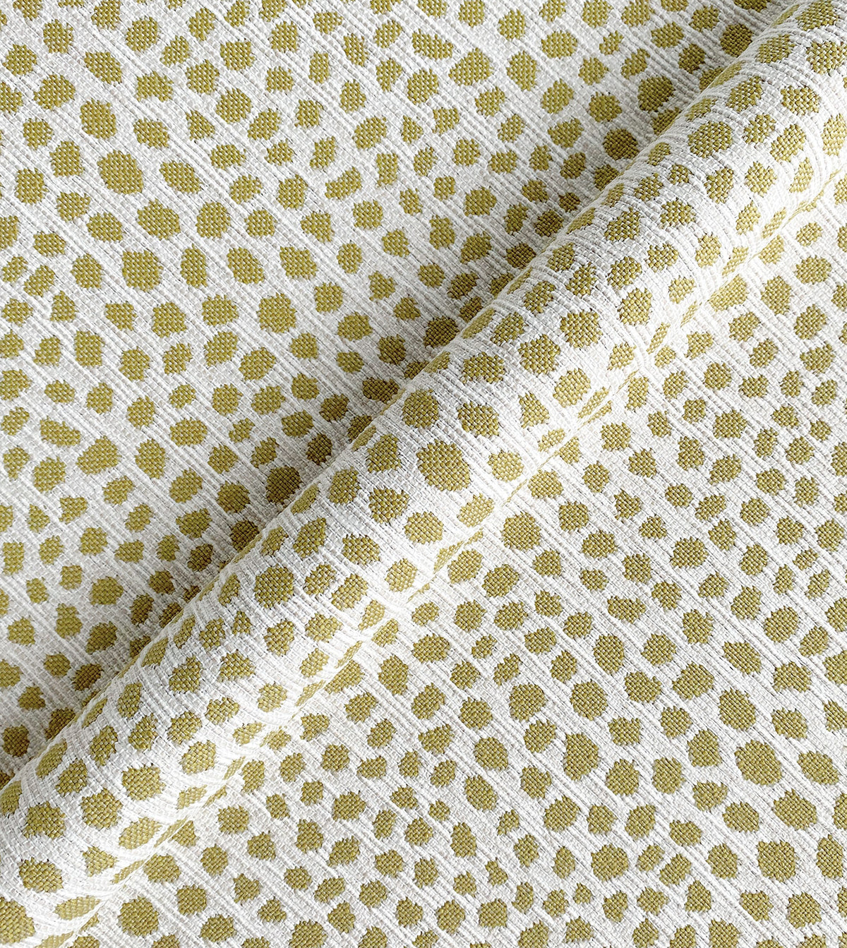FIBI GOLDENROD