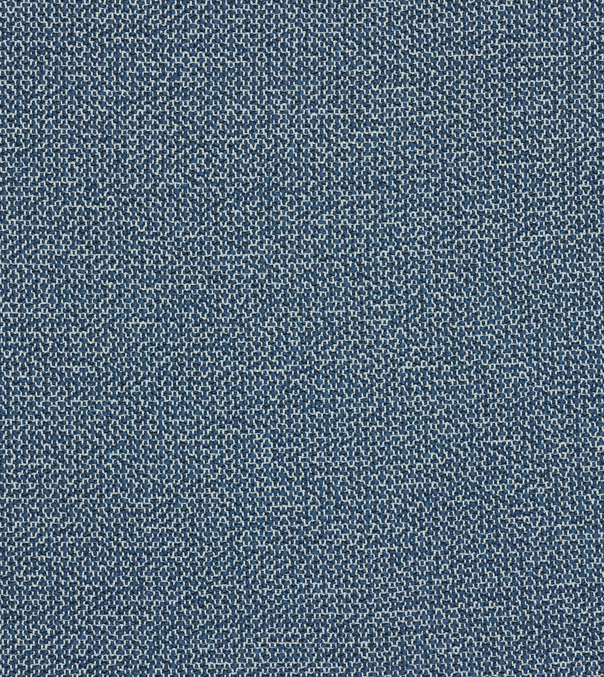 DOWNWIND DENIM