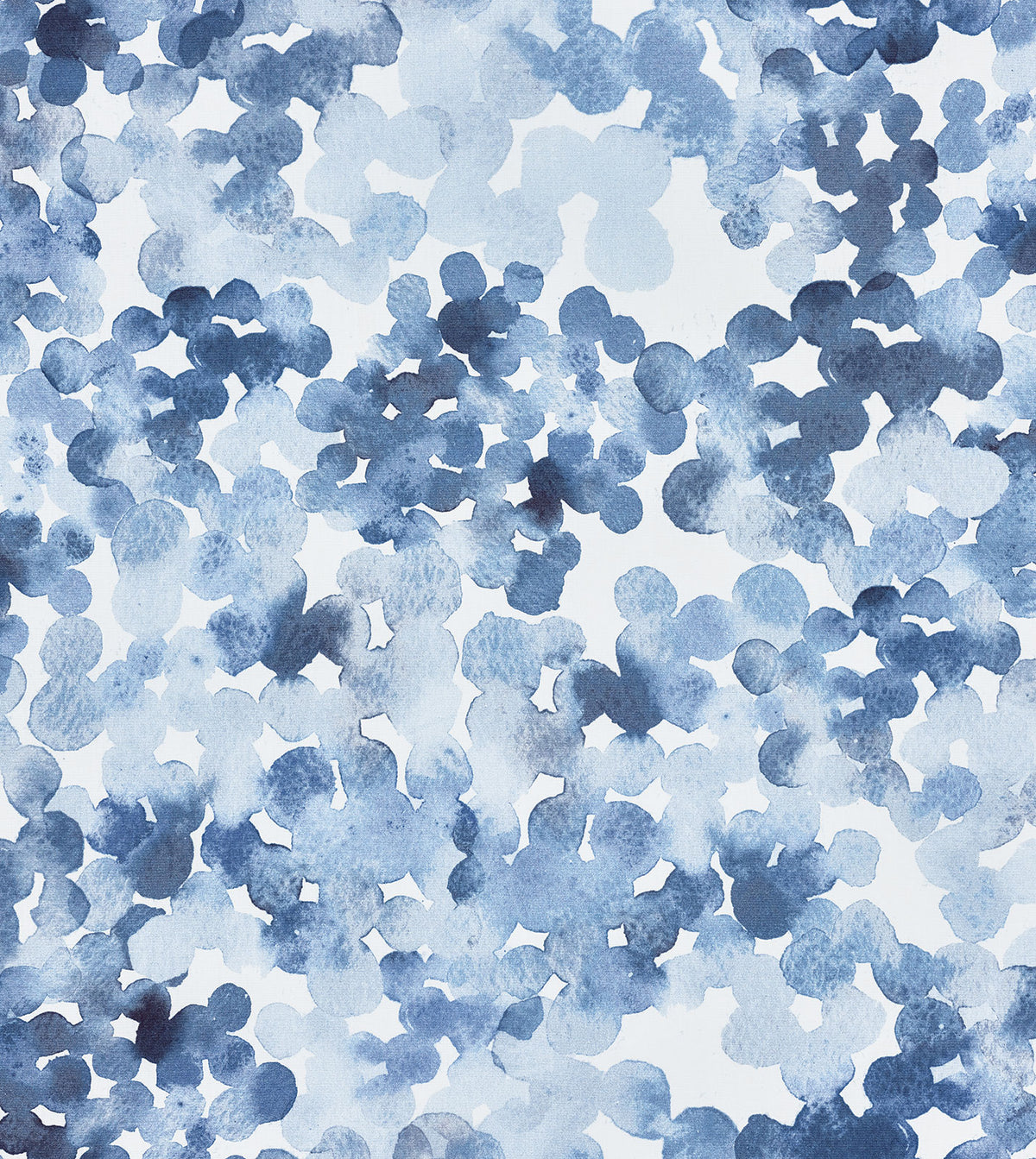 ARCUS BLUE