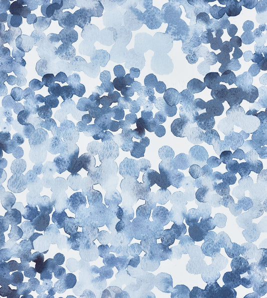 ARCUS BLUE